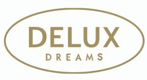 Delux Box tyyny 45x55x10cm DX10V